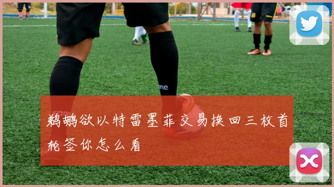 鹈鹕欲以特雷墨菲交易换回三枚首轮签你怎么看