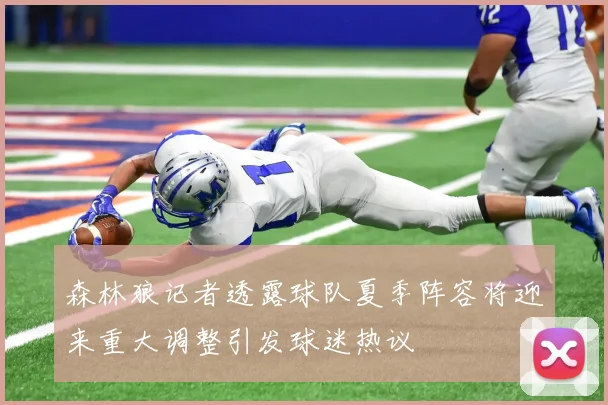 森林狼记者透露球队夏季阵容将迎来重大调整引发球迷热议
